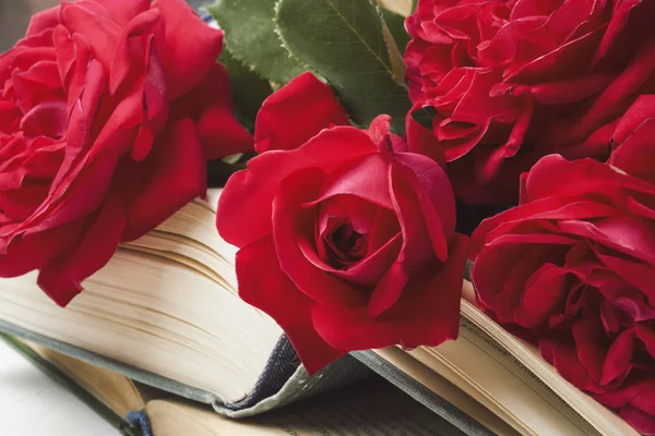 Rosas Vermelhas Livro Aberto Fundo Pedra Leve Conceito Literatura Romântica — Fotografia de Stock