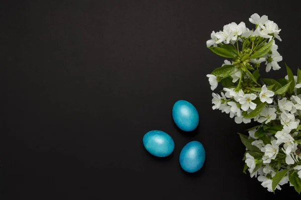 Ramo Flor Cerejeira Ovos Azuis Páscoa Fundo Preto — Fotografia de Stock