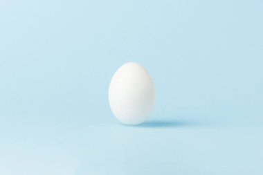 Mavi bir arka plan üzerinde beyaz tavuk yumurta. Minimalizm. Yan görünüm