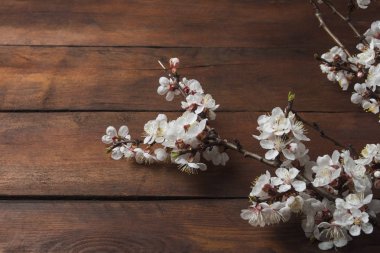 Sakura dalları ile koyu ahşap arka plan üzerinde çiçekler