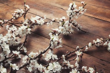 Sakura dalları ile koyu ahşap arka plan üzerinde çiçekler