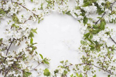 Işık taş zemin üzerine bahar çiçekleri kiraz ve metin için temiz daire. Düz yatıyordu, en iyi görünümü