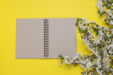 Not defteri ve sarı bir arka plan üzerinde çiçekli kiraz dal