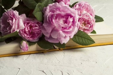 Kitap ve hafif bir taş zemin üzerine gül açtı. Sevgi ve romantik romanlar hakkında kavramı Kitaplar