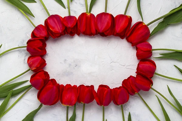 Red Tulips lined in the shape of an oval on a light stone background. In the center is copy space. Flat lay, top view