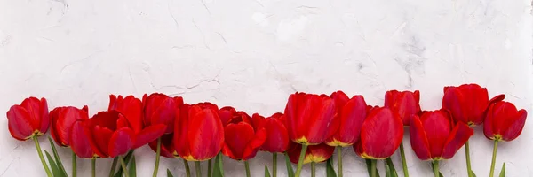 Red Tulips lined in one line at the bottom of the image on a light stone background. Flat lay, top view