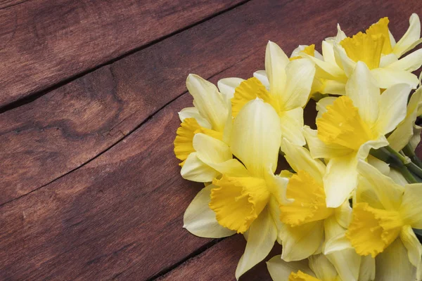 Flor de primavera Narciso sobre un fondo de madera oscura — Foto de Stock
