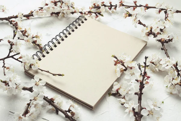 Cuaderno y una ramita de flores de cerezo sobre un fondo claro de piedra — Foto de Stock