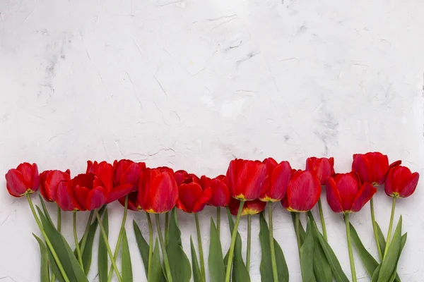 Red Tulips lined in one line at the bottom of the image on a light stone background. Flat lay, top view