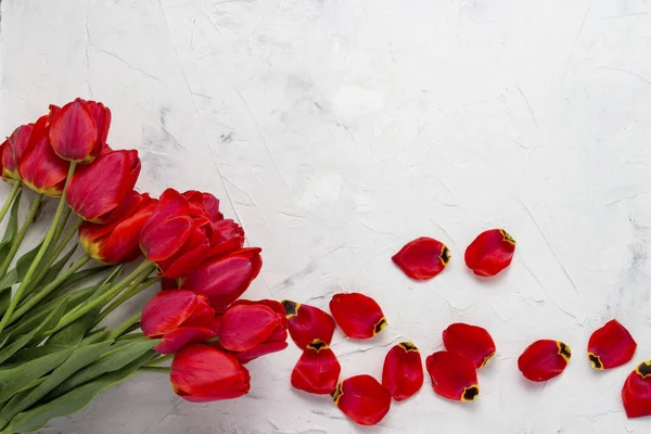 Красные тюльпаны и лепестки на светлом каменном фоне. Принято. Плоский, вид сверху — стоковое фото