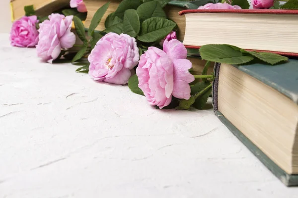 Books and roses on a light stone background. Concept books about love and romantic novels