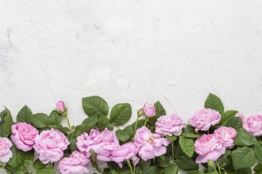 Pembe gül ışık taş zemin üzerine. düz yatıyordu, en iyi görünümü