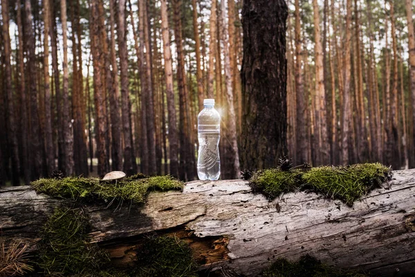 Plastikwasserflasche steht auf einem gefällten Baumstamm mit Moos und Pilzen im Wald. Konzept des natürlichen sauberen Wassers. Lichteffekt hinzugefügt — Stockfoto
