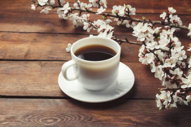 Sakura dalları çiçek ve koyu bir kahve ile beyaz bir fincan ile