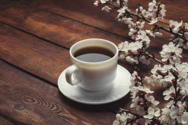 Sakura dalları çiçek ve koyu bir kahve ile beyaz bir fincan ile