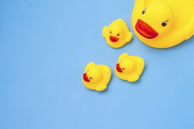 Kauçuk oyuncak sarı renk anne ördek ve mavi bir arka plan üzerinde küçük ördek yavrusu. Anne bakım ve sevgi çocuklar, yetiştirme ve çocuklarının eğitim kavramı. Düz yatıyordu, en iyi görünümü