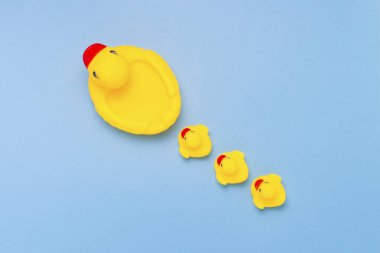 Rubber toy of yellow color Mama-duck and small ducklings on a blue background. The concept of maternal care and love for children, the upbringing and education of children. Flat lay, top view clipart