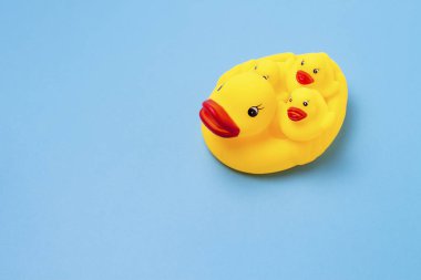 Kauçuk oyuncak sarı renk anne ördek ve mavi bir arka plan üzerinde küçük ördek yavrusu. Anne bakım ve sevgi çocuklar, yetiştirme ve çocuklarının eğitim kavramı