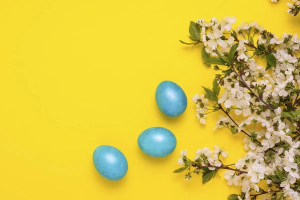 Ramo de flor de cerejeira e ovos azuis de Páscoa no fundo amarelo . — Fotografia de Stock