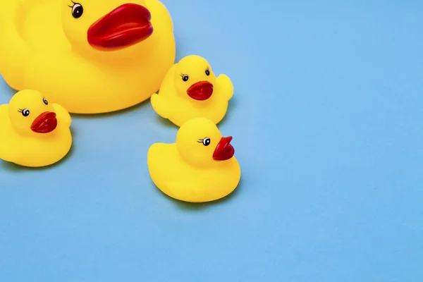 Rubber toy of yellow color Mama-duck and small ducklings on a blue background. The concept of maternal care and love for children, the upbringing and education of children
