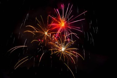 Harika izole Festival havai fişek koyu arka plan üzerinde. Duvar kağıdı veya arka plan kullanılabilir