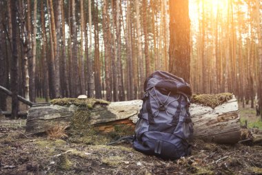 Tourist backpack is standing by a tree in the forest. Concept of a hiking trip to the forest or mountains. Survival in the wild clipart