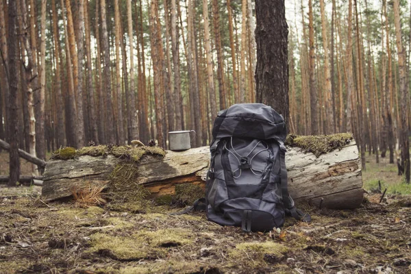 Turistický batoh, kovový hrnek v lese. Koncept pěší túry do lesa nebo hor — Stock fotografie