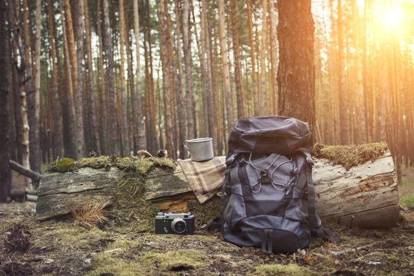 Tourist backpack, metal mug, camera in the forest. Concept of a hiking trip to the forest or mountains — Stock Photo, Image