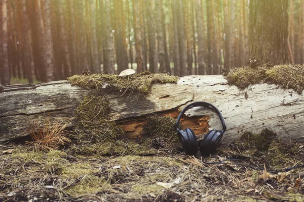 Los auriculares se encuentran cerca de un árbol caído cubierto de musgo y setas en un bosque salvaje al amanecer. Concepto de la tranquilidad y los sonidos de la naturaleza, la relajación — Foto de Stock