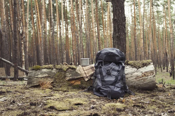 Turistický batoh, kovový hrnek v lese. Koncept pěší túry do lesa nebo hor — Stock fotografie