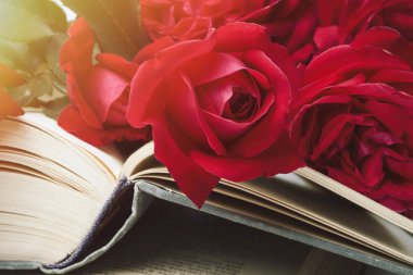 Kırmızı gül üzerinde hafif bir taş zemin üzerine açık bir kitap. Romantik edebiyat kavramı. Düz yatıyordu, en iyi görünümü