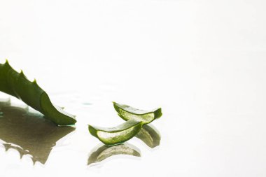 Aloe yaprağı, açık bir arka plan üzerinde. Kavram taze cilt, kırışıklık yumuşatma.