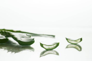 Aloe yaprağı, açık bir arka plan üzerinde. Kavram taze cilt, kırışıklık yumuşatma.