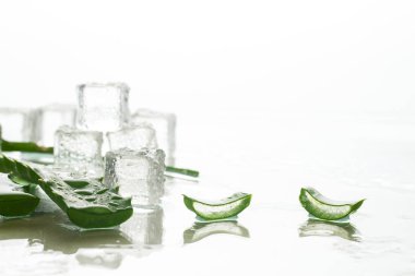 Aloe yaprağı ve buz küpleri hafif bir arka plan üzerinde. Cilt için ferahlatıcı ve soğutma, susuzluk önleyici içecek.