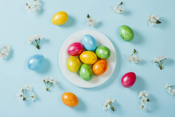 Ovos de Páscoa em uma chapa e flores de primavera em um contexto azul. Conceito de celebrar a Páscoa. Deitado plano, vista superior — Fotografia de Stock