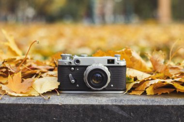 Kamera bir sonbahar park kaldırıma sarı yaprakları ile yatıyor