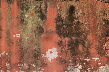 Alçı, yıpranmış boya ve kalıp ile eski taş duvar. Olarak kullanılabilir