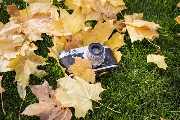 Retro-Kamera auf dem Rasen mit gelben Herbstblättern. Konzept von b — Stockfoto