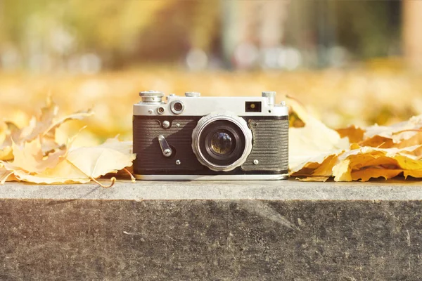 Kamera liegt auf dem Bordstein in einem herbstlichen Park mit gelben Blättern — Stockfoto