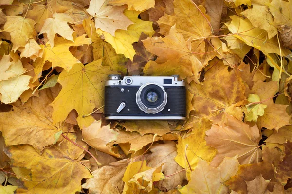 Retro-Kamera liegt auf den gelben Herbstblättern. Konzept des Beginns — Stockfoto