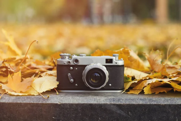 Kamera liegt auf dem Bordstein in einem herbstlichen Park mit gelben Blättern — Stockfoto