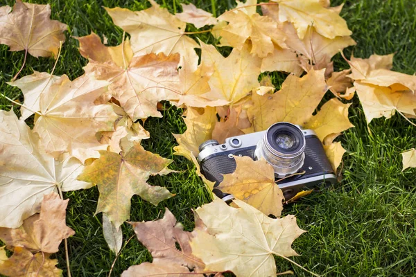 Retro-Kamera auf dem Rasen mit gelben Herbstblättern. Konzept von b — Stockfoto