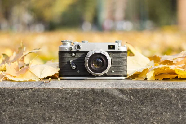 Kamera liegt auf dem Bordstein in einem herbstlichen Park mit gelben Blättern — Stockfoto