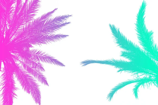 Silueta de palmeras con un brillante gradiente de verano en un bergantín —  Fotos de Stock