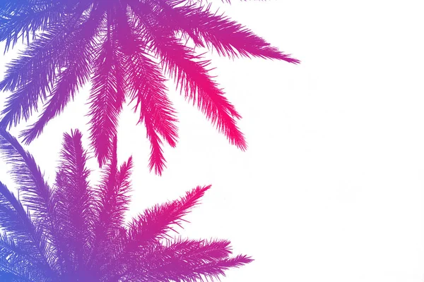 Silhouette de palmiers avec un gradient estival lumineux sur un brick — Photo