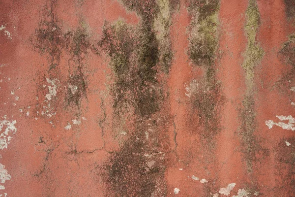 Antigua pared de piedra con yeso, pintura desgastada y molde. Puede ser utilizado como —  Fotos de Stock