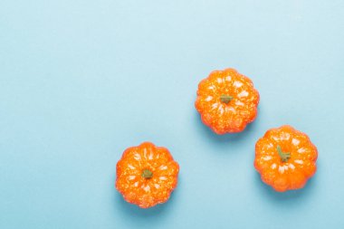 Mavi arka planda dekoratif kabaklar. Cadılar Bayramı konsepti, hasat, sonbahar. Düz döşeme, üst görünüm