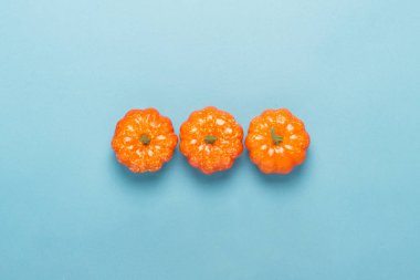 Mavi arka planda dekoratif kabaklar. Cadılar Bayramı konsepti, hasat, sonbahar. Düz döşeme, üst görünüm