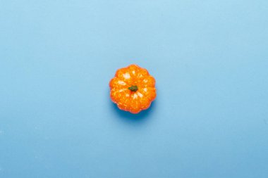 Mavi arka planda dekoratif balkabağı. Cadılar Bayramı konsepti, hasat, sonbahar. Düz döşeme, üst görünüm