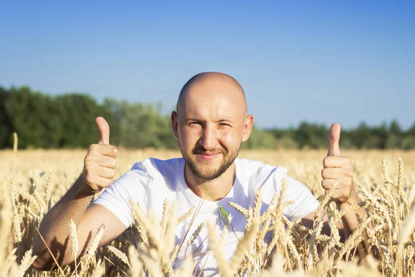 Un joven hace un gesto con las manos y mira fuera del trigo, un campo de trigo. Concepto de agricultor feliz, buena cosecha — Foto de Stock